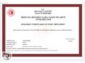 *EMSALSİZ* VW BORA 1.6 LANSMAN RENK