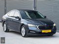 CMG MOTORSDAN HATASIZ BOYASIZ ELİT PAKET