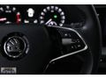 _2024 Skoda Octavia E-Tec Hybrid 49.000 Km *Boyasız* Grafit Gri_