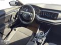 2024 SKODA OCTAVİA ELİTE 1.0E-TECH DSG 110BG 58.700KM