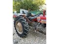 MF 135'lik İngiliz 1978 Model Hid Direksiyon Full Orijinal