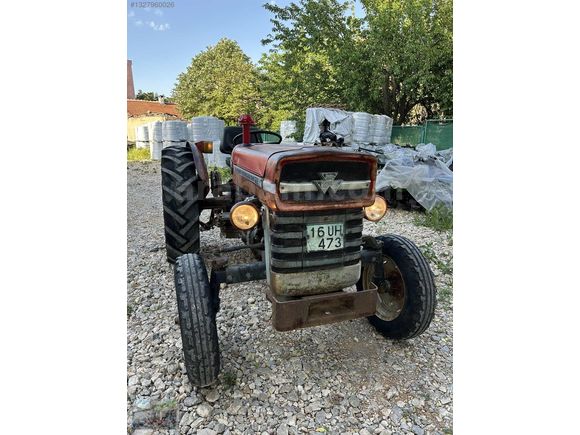 MF 135'lik İngiliz 1978 Model Hid Direksiyon Full Orijinal