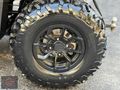 CF MOTO 450 L EPS 4X4-4X2