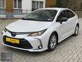 'MTL MOTORS' SIFIR TADINDA / SERVİS BAKIMLI