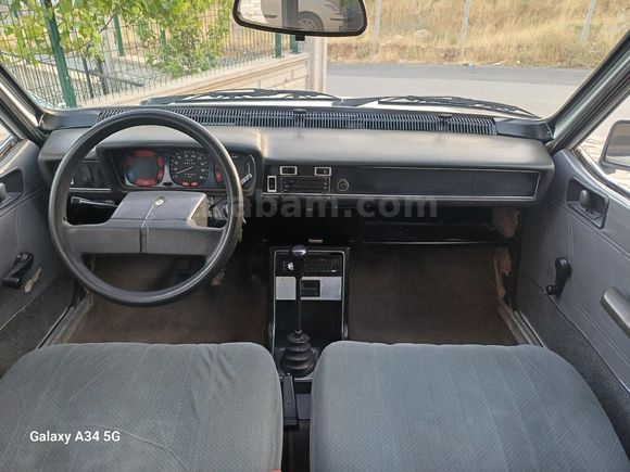 99 model Toros Dağ Keçisi