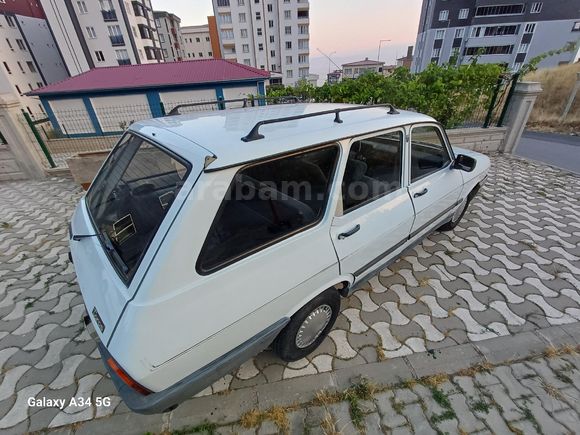 99 model Toros Dağ Keçisi