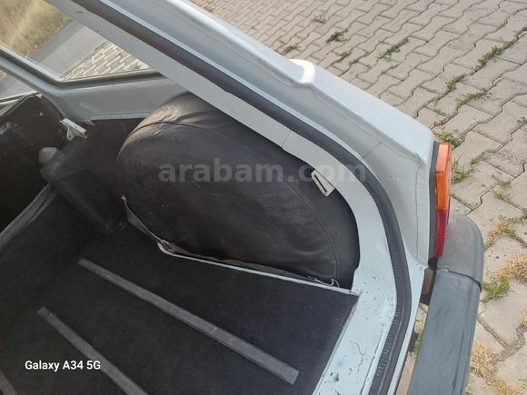 99 model Toros Dağ Keçisi