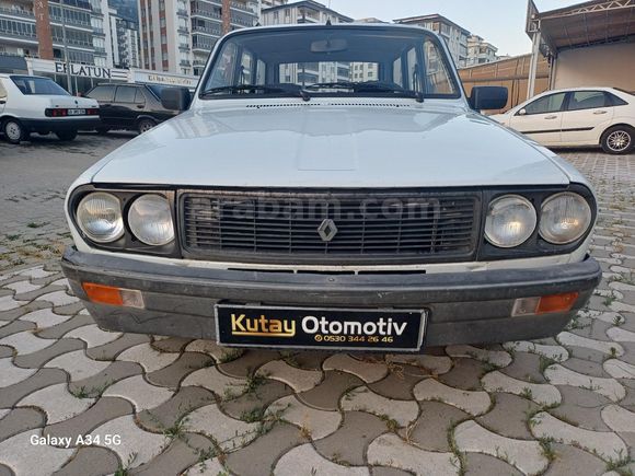99 model Toros Dağ Keçisi