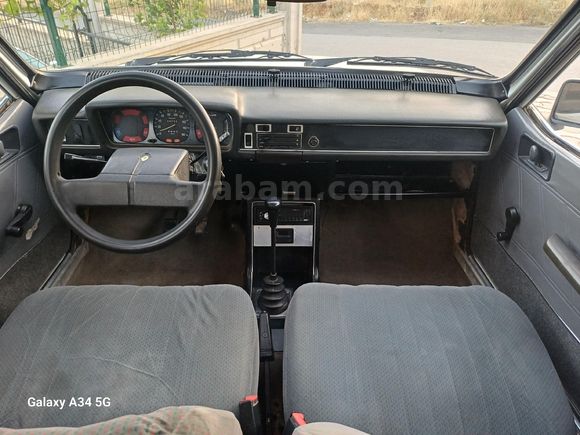 99 model Toros Dağ Keçisi