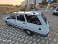 99 model Toros Dağ Keçisi