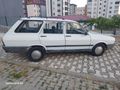 99 model Toros Dağ Keçisi