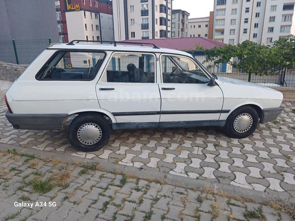 99 model Toros Dağ Keçisi
