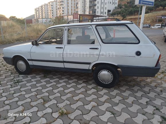 99 model Toros Dağ Keçisi