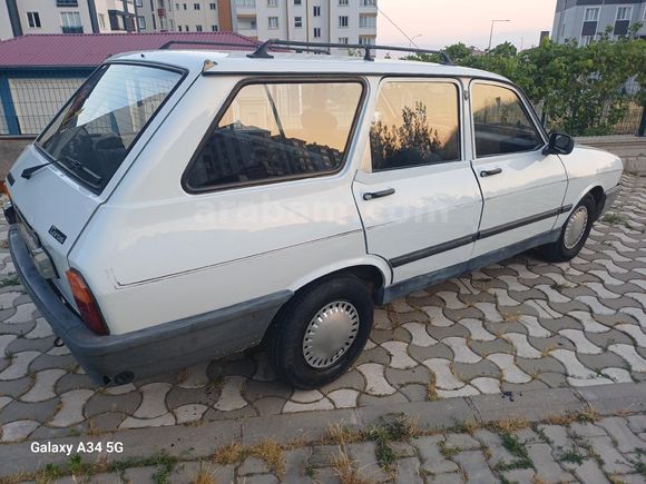 99 model Toros Dağ Keçisi