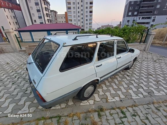 99 model Toros Dağ Keçisi