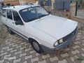 99 model Toros Dağ Keçisi