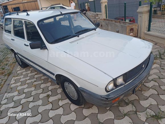 99 model Toros Dağ Keçisi