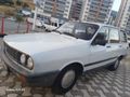 99 model Toros Dağ Keçisi