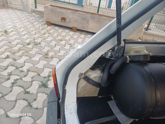 99 model Toros Dağ Keçisi