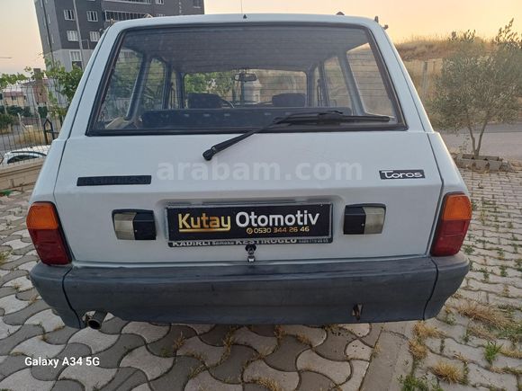 99 model Toros Dağ Keçisi