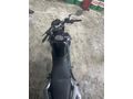 Sahibinden CFmoto 150NK 