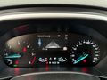 HAZARBEY 2019 FOCUS 1.5 TDCİ TİTANİUM/OTONM/ŞERİT TKP/ KIŞ PAKET