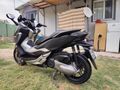 HONDA FORZA 250cc MaxiScooter 15BIN KM DE TAKAS OLUR