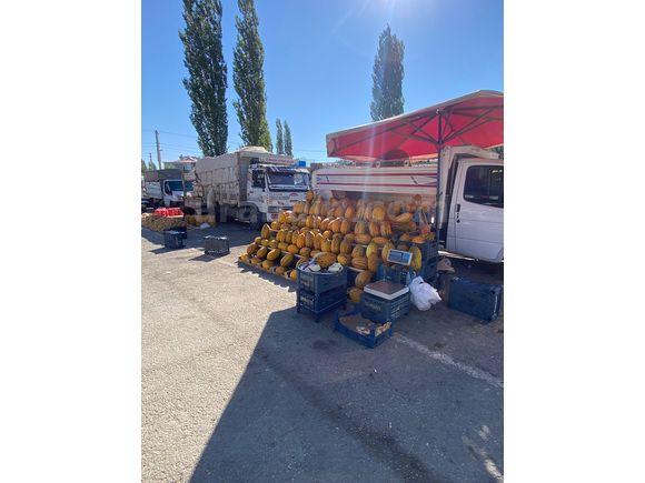 99 LÜXSSSS Ford Trucks 