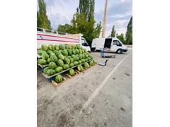 99 LÜXSSSS Ford Trucks 