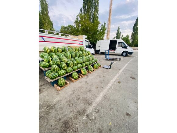 99 LÜXSSSS Ford Trucks 