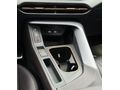 2025 CUPRA TERRAMAR VZ-LINE MAVİ / KAHVE+20 JNT+360+SENNHEISER+