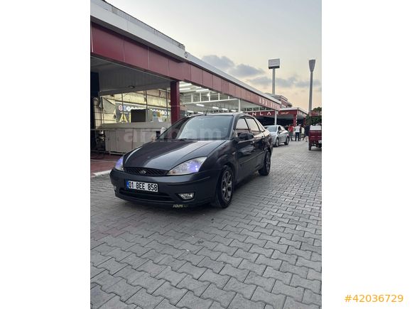 ADA AUTO DAN ZIMBA FOCUS