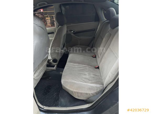 ADA AUTO DAN ZIMBA FOCUS