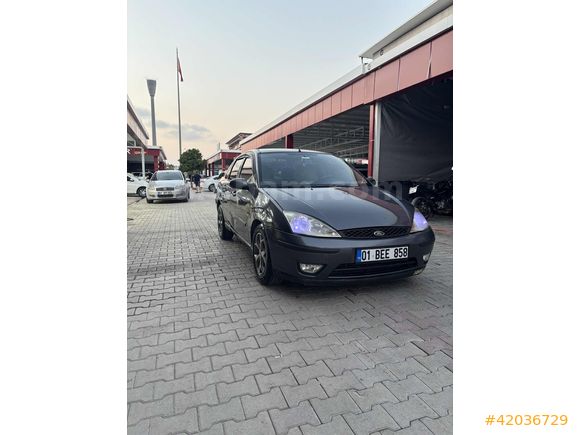 ADA AUTO DAN ZIMBA FOCUS