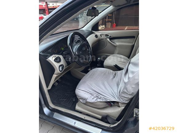 ADA AUTO DAN ZIMBA FOCUS
