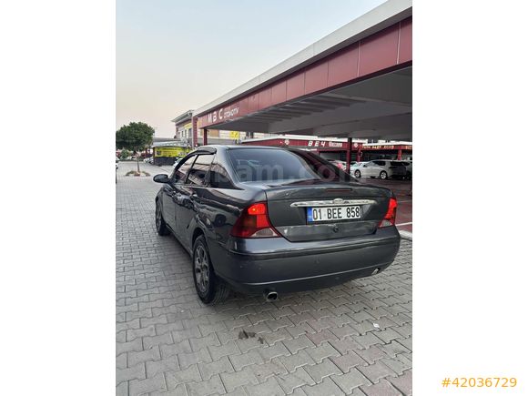 ADA AUTO DAN ZIMBA FOCUS