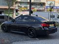 ALN AUTO / 40 TH YEAR EDİTİON / SHADOW / SİYAH İÇİ KIRMIZI /