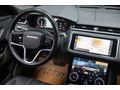 BAYİ 2022 VELAR 2.0 D204 BLACK EDİTİON MERİDİAN_SOGUTMA_20'JANT_HATASZ