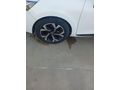 Sahibinden Renault Clio 0.9 TCe Touch 2019 Model