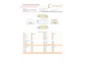 MURAT OTOMOTİV'DEN 2011 CLIO 1.2 EXTREME *BAKIMLI_MASRAFSIZ*