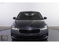 İLK ELDEN %20 FATURALI 65 BİN KM 1.5 TSI e-Tec Elite DSG OCTAVIA
