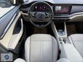 2023 SKODA OCTAVİA 1.5 TSI E-TEC PREMIUM DSG 118500 KM