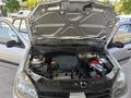 HATASIX Clio sembol