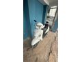 Sahibinden TVS Jupiter  110 luk 930 KM