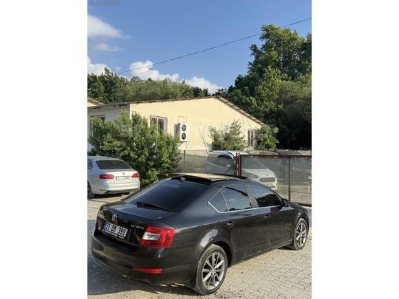 2015 Octavia Hatasız Cam tavan Düşük Km Tertemiz