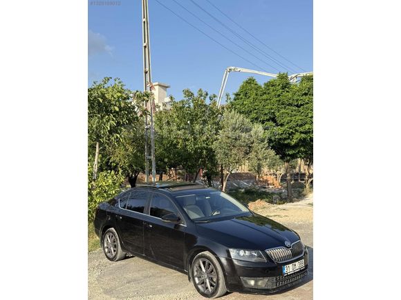 2015 Octavia Hatasız Cam tavan Düşük Km Tertemiz