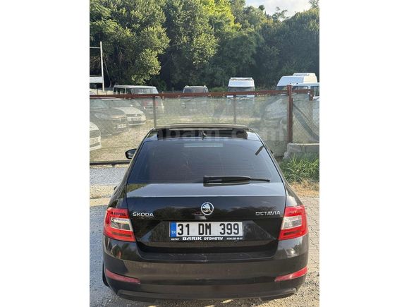 2015 Octavia Hatasız Cam tavan Düşük Km Tertemiz