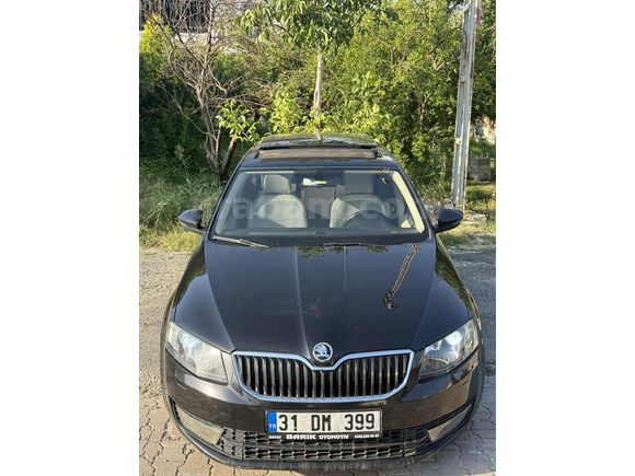 2015 Octavia Hatasız Cam tavan Düşük Km Tertemiz