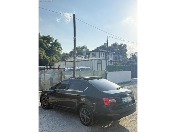 2015 Octavia Hatasız Cam tavan Düşük Km Tertemiz