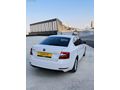 2017 Skoda Octavia 1.6 TDI DSG Optimal Paket